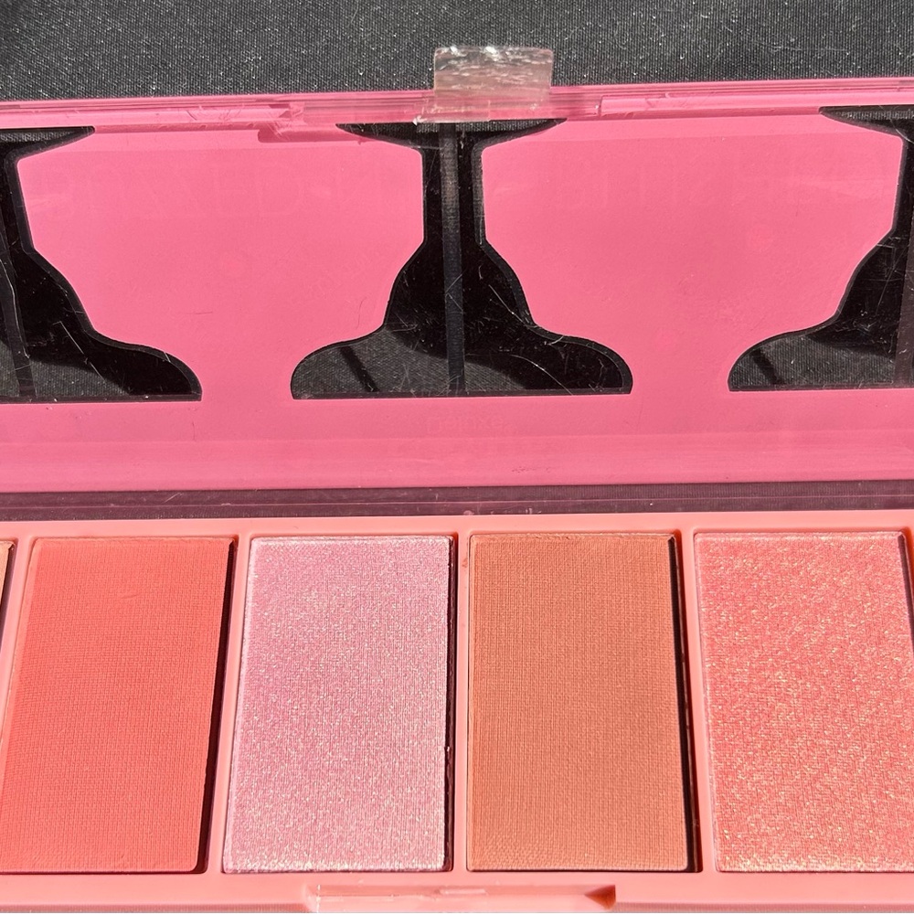 Vibrant Blush Palette with Coral and Rose Shades